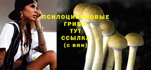 spice Мегион