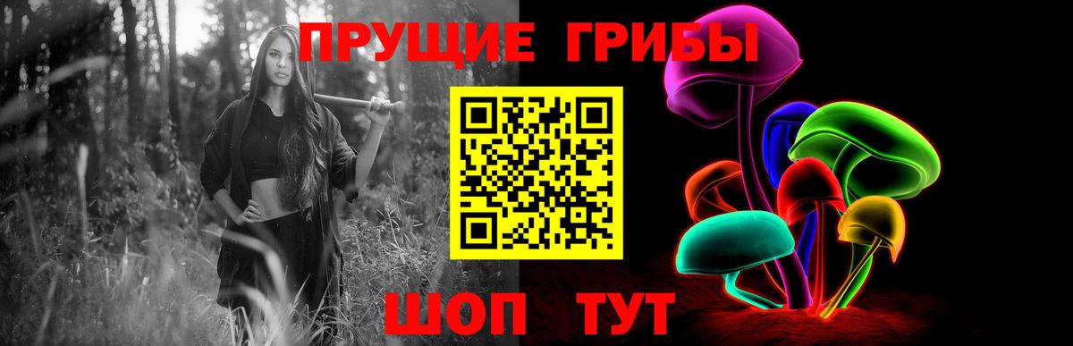 Галлюциногенные грибы GOLDEN TEACHER  Вход с VPN  Галлюциногенные грибы Psilocybine cubensis  наркошоп  Назрань 