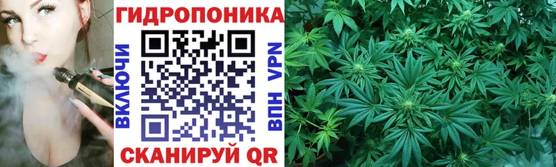 даркнет сайт  Назрань  Бошки марихуана Bruce Banner 